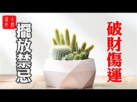 仙人掌防小人|仙人掌防小人指南：辦公室居家化解是非口舌秘訣 